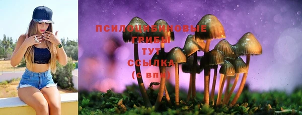 дурь Абдулино