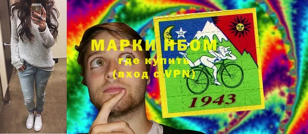 прущие грибы Абинск