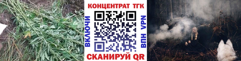 ТГК THC oil  Пудож 