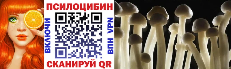 наркотики  Пудож  Галлюциногенные грибы Magic Shrooms 